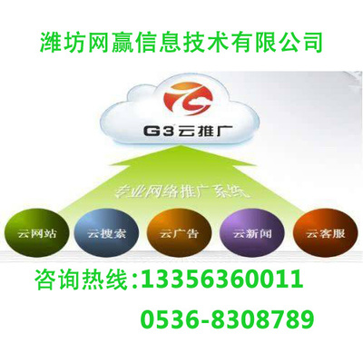 棗莊G3云推廣 按需定制技術方案，成效顯著
